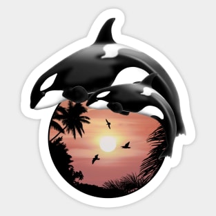 Orca Killer Whale Sticker